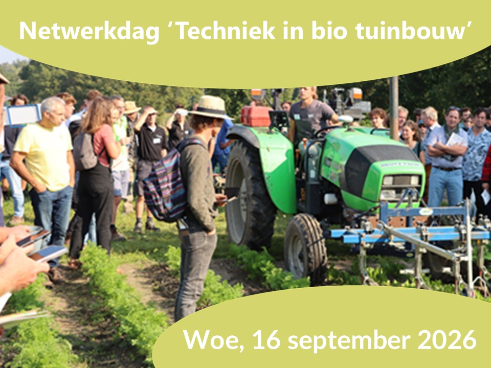 CCBT Netwerkdag 2026