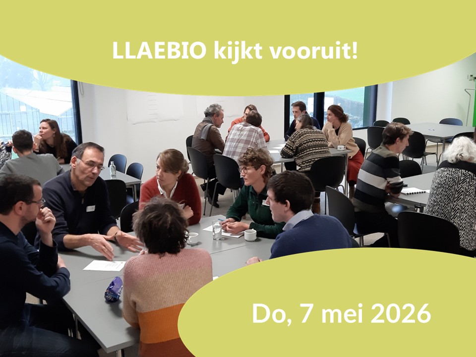 LLAEBIO 2024