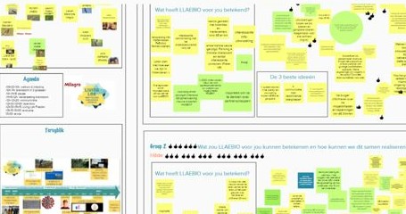 Brainstorm werkgroepen op miro applicatie