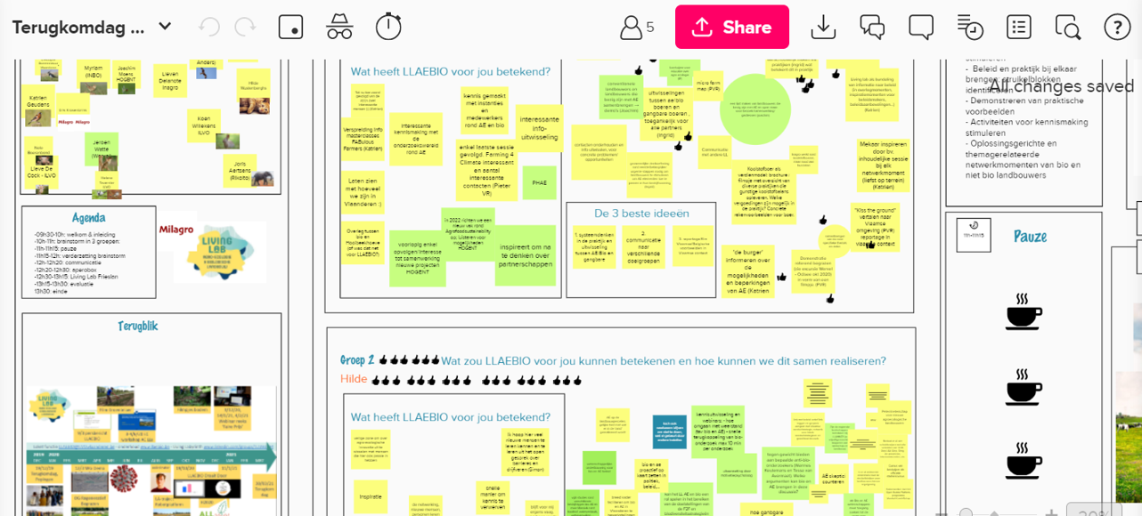 Brainstorm activiteiten LLAEBIO terugkomdag 30 maart 2021