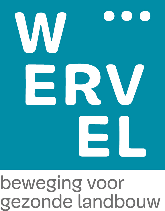 Wervel